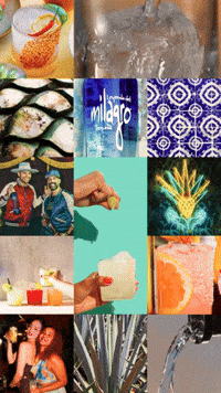 Celebrate Mexico City GIF by Milagro Tequila