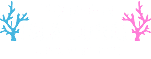Decameronhotels Sticker by Hoteles Decameron