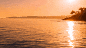 Real Estate GIF by Spain For Sale