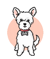 Bellaboo Sticker