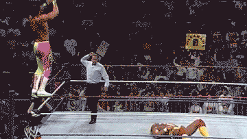 wrestling GIF by Cheezburger