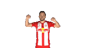 Andreas Ulmer Cheer Sticker by FC Red Bull Salzburg