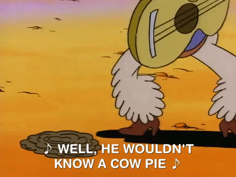 rockos modern life nicksplat GIF