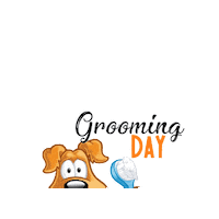 Cat Grooming Sticker by Kanú Mascotas