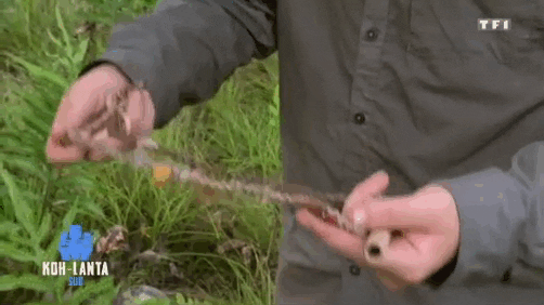 Freezze giphyupload GIF