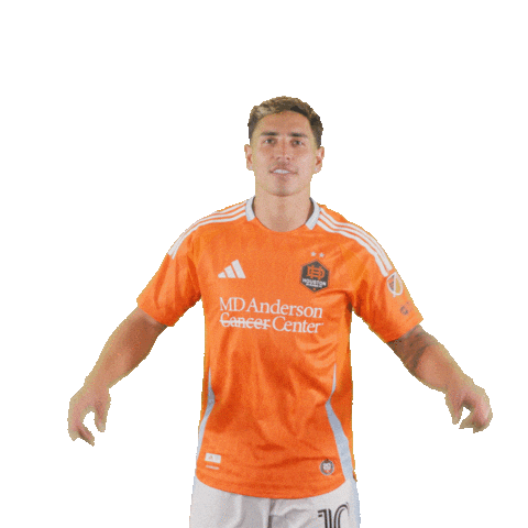 Season 20 Celebration Sticker by Houston Dynamo FC