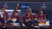 softball oklahoma GIF by NCAA Championships