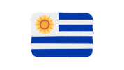 emojivid emoji flag uruguay emojivid Sticker