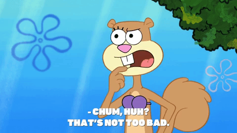 episode 1 GIF by SpongeBob SquarePants