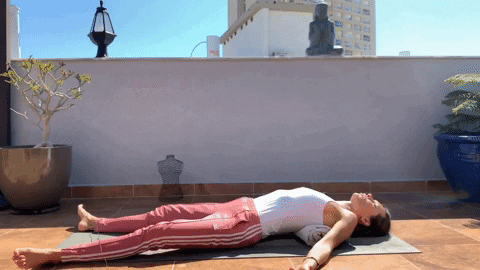 svitlanayevsieieva giphyupload GIF