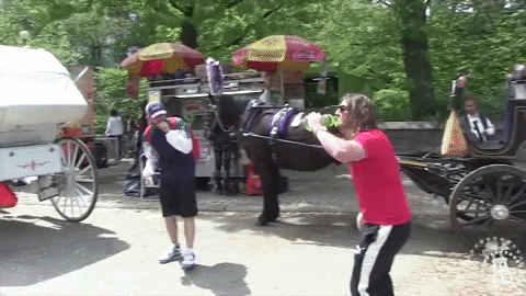 barstoolsports giphyupload sports funny comedy GIF