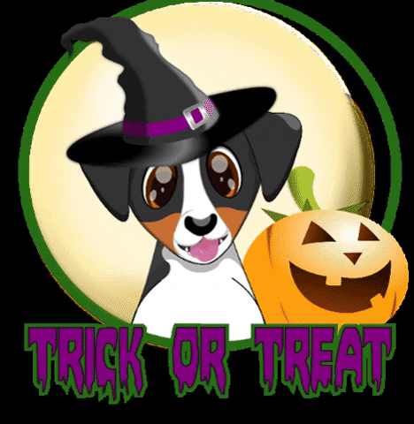 ZumatheDog giphygifmaker halloween trick or treat pumpkins GIF