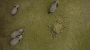 volume 1 god serengeti GIF by Oats Studios