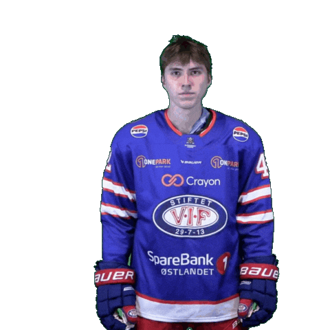 Goal Scoring Sticker by VIF Hockey