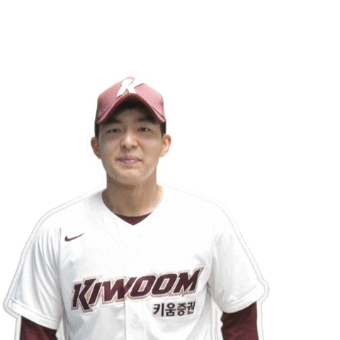 Baseball Team Sticker by Kiwoom Heroes Baseball Club