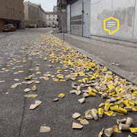 Austria Marathon GIF by Linz News