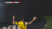 GIF by FOX Sports