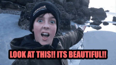 natewilbourne giphygifmaker nature outdoors new zealand GIF