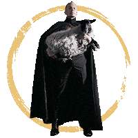 Antti Tuisku Sticker by Warner Music Finland