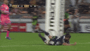 Agen_Rugby happy hug sua top14 GIF
