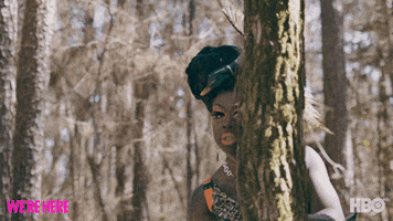 Drag Queen GIF by HBO