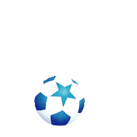 Football Soccer Sticker by Danone Nations Cup