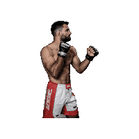 Mixed Martial Arts Mma Sticker by BRAVE Combat Federation