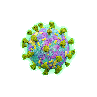 Germ Gsi Sticker by Loci
