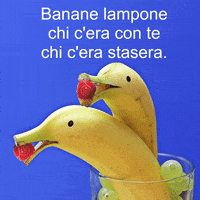 gianni morandi GIF by Usato Firmato