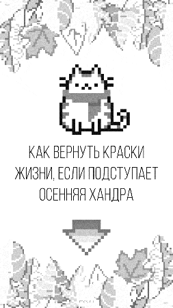 nepancha giphygifmaker GIF