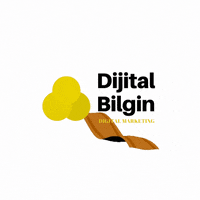 Dijitalbilgin logo marketing circle rocket GIF