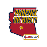 Phoenix Arizona Sticker by USA Volleyball