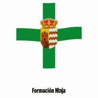 Bandera GIF by Formación Ninja