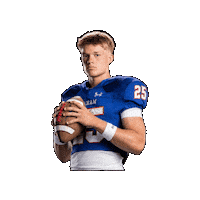 Colttaylor Sticker by Ahart Real Estate