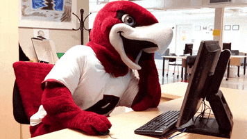 RiponCollege tired sleep sleepy office GIF