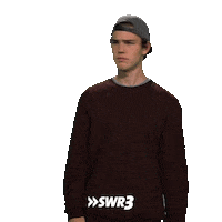 Show Lol Sticker by SWR3