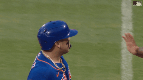 Ny Mets Baseball GIF by New York Mets