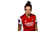 Celebrate Champions League Sticker by Arsenal