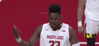 excited college basketball GIF by Maryland Terrapins