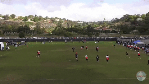 flikulti ultimate frisbee flik GIF