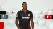 bayer leverkusen GIF by Bundesliga