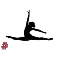 The Dance Company Sticker by Spellbound Academy of Dance