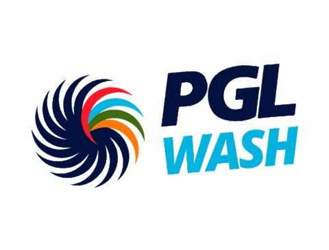 pglgrupo giphyupload car carro wash Sticker