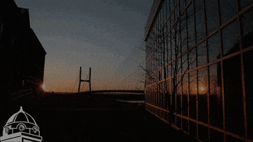 bridge sunrise GIF by SEMissouriState