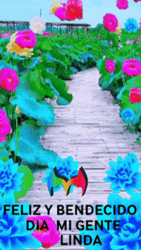 Feliz Amigos GIF by Murcianys LLC