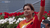 sport win GIF by Tennis TV