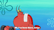 season 9 episode 13 GIF by SpongeBob SquarePants