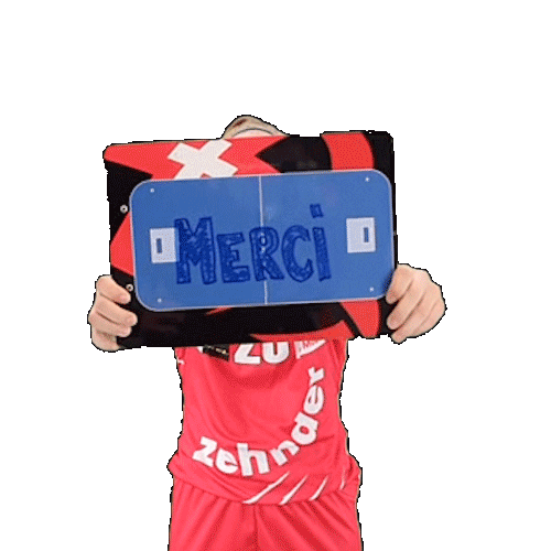 Merci Floorball Sticker by Red Lions Frauenfeld