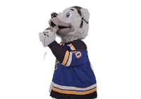 Ice Hockey Sport Sticker by NHL