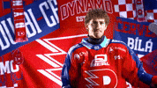 Hockeytown GIF by HC Dynamo Pardubice